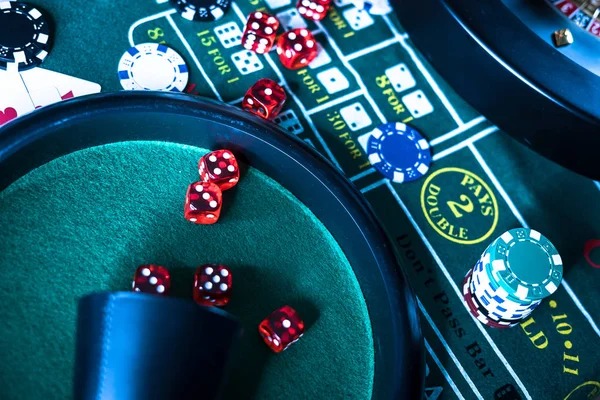 Bikini Paradise live dealer table interface on ljo777 mobile app